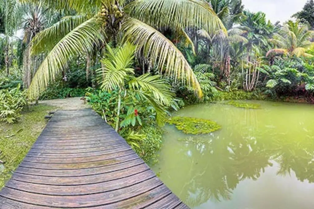 Breadfruit Villa - Your Piece Of Paradise! Richmond